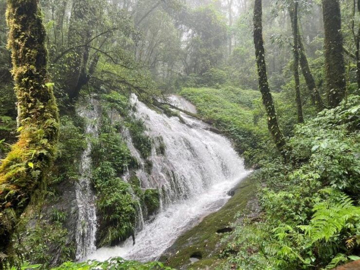 Chiang Mai: Doi Inthanon National Park Tour & Waterfall Trek - Itinerary Highlights
