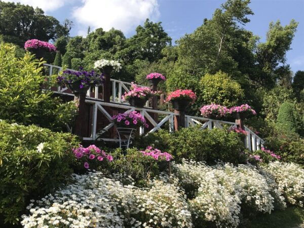 Chiang Mai: Doi Inthanon National Park Visit and Guided Hike - Booking and Contact Information