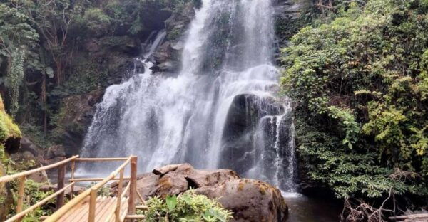 Chiang Mai: Doi Inthanon National Park Visit and Guided Hike - Common Questions
