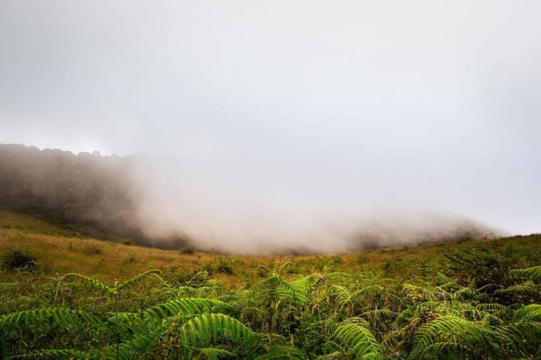 Chiang Mai: Doi Inthanon National Park, Waterfall & Lunch - Exploring the Twin Pagodas
