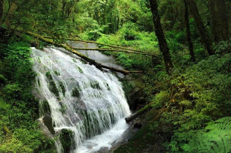 Chiang Mai: Doi Inthanon National Park, Waterfall & Lunch - Visiting the Karen Village