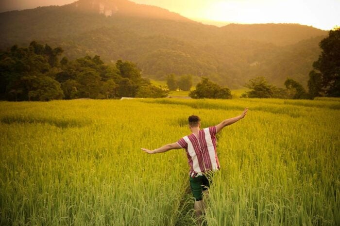Chiang Mai: Doi Inthanon National Park, Waterfall & Lunch - Travelers Experiences and Recommendations
