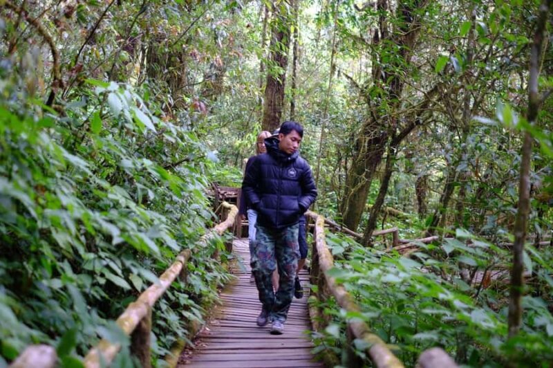 Chiang Mai: Doi Inthanon National Park with Ticket & Lunch - Guides and Local Insights