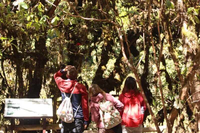 Chiang Mai: Doi Inthanon National Park with Ticket & Lunch - Practical Tips for Travelers