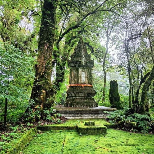 Chiang Mai: Doi Inthanon National Park+Trek Pha Dok Siew - What We Love and Consider