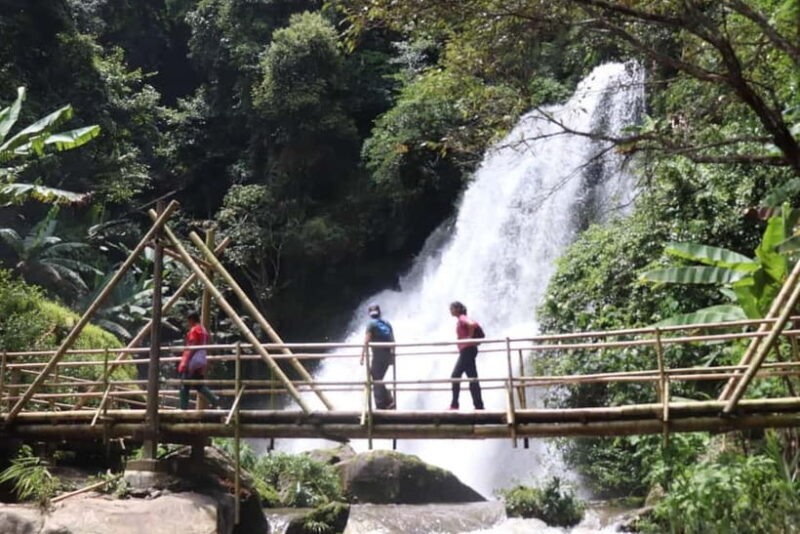 Chiang Mai: Doi Inthanon National Park+Trek Pha Dok Siew - The Sum Up: Is This Tour Worth It?  