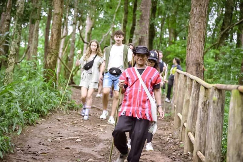 Chiang Mai : Doi Inthanon National Private Tour for Couples - Exploring Doi Inthanon: The Core Experience