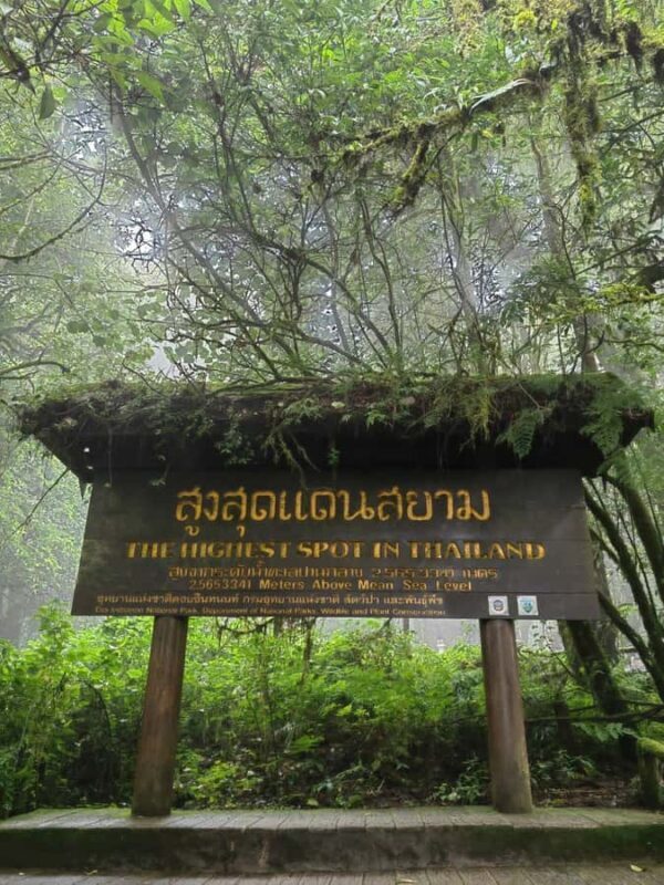Chiang Mai : Doi Inthanon National Private Tour for Couples - Who Is This Tour Best For?