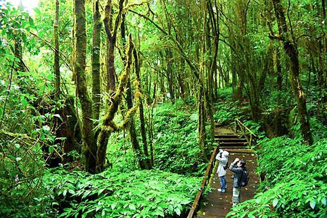 CHIANG MAI: Doi Inthanon NationPark-Royal Project-Waterfall-Lunch - Exploring the Royal Project
