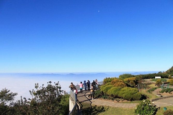 CHIANG MAI: Doi Inthanon NationPark-Royal Project-Waterfall-Lunch - Important Tour Information and Tips