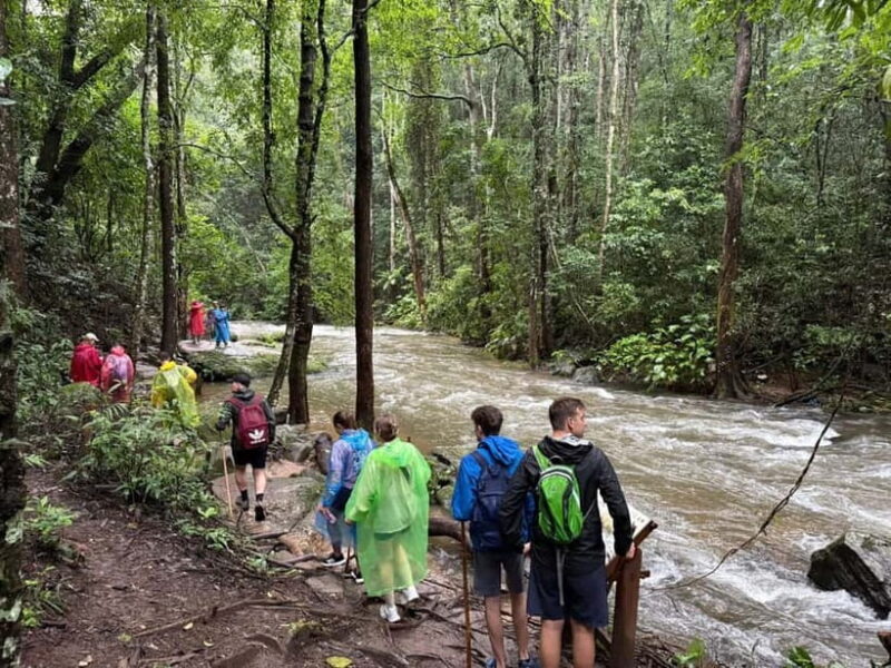 Chiang Mai: Doi Inthanon Park & 2 Hrs Trekking Pha Dok Siew - What to Expect from This Tour