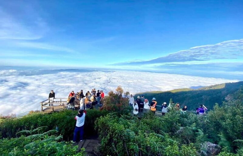 Chiang Mai: Doi Inthanon Park and Kew Mae Pan 2-Hour Hike - A Deep Dive into the Doi Inthanon Day Tour