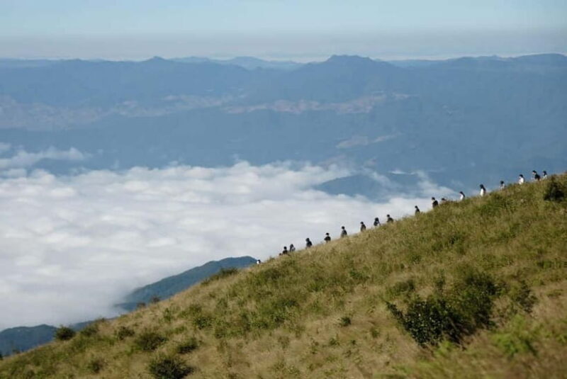Chiang Mai: Doi Inthanon Park and Kew Mae Pan 2-Hour Hike - Evaluating the Value for Money