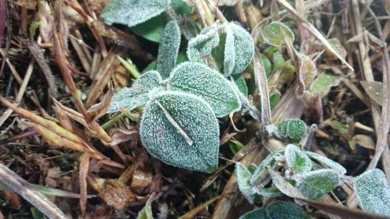 Chiang Mai: Doi Inthanon Park and Kew Mae Pan 2-Hour Hike - Final Thoughts