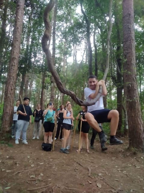 Chiang Mai: Doi Inthanon Park and Pha Dok Siew Hike Day Trip - Wildlife and Nature
