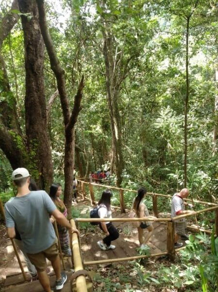 Chiang Mai: Doi Inthanon Park and Pha Dok Siew Hike Day Trip - Inclusions of the Tour