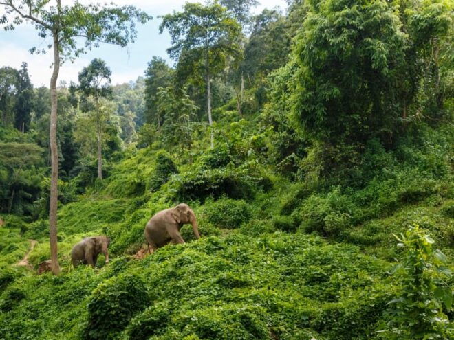 Chiang Mai: Doi Inthanon Park and Pha Dok Siew Trail Trek - Attractions at Doi Inthanon