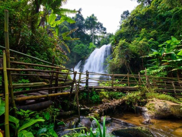 Chiang Mai: Doi Inthanon Park and Pha Dok Siew Trail Trek - Tips for a Great Trek