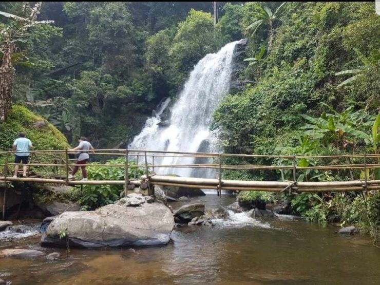 Chiang Mai: Doi Inthanon Park & Pha Dok Siew Trail Trek - Activity Details