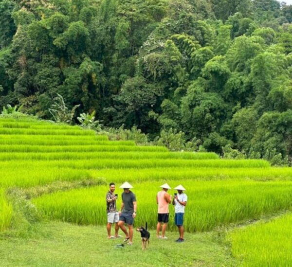 Chiang Mai: Doi Inthanon Park & Pha Dok Siew Trail Trek - Value for Money Rating