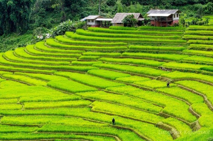 Chiang Mai: Doi Inthanon Park Waterfall Guided Car Tour - Frequently Asked Questions