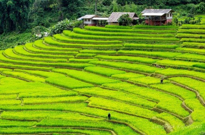 Chiang Mai: Doi Inthanon Park, Waterfalls and Hilltribe Tour - Important Information and Guidelines