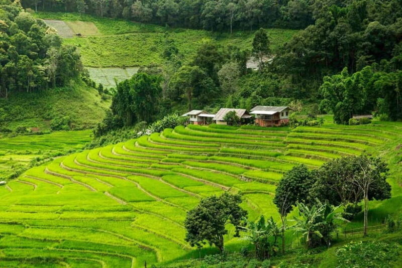 Chiang Mai: Doi Inthanon Trip with Pha Dok Siew Guided Trek - Exploring Doi Inthanon: An In-Depth Look