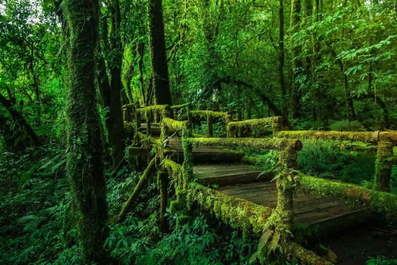 Chiang Mai: Doi Inthanon Trip with Pha Dok Siew Guided Trek - Cultural and Scenic Highlights