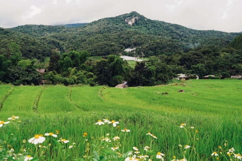Chiang Mai: Doi Inthanon Trip with Pha Dok Siew Guided Trek - What to Expect and Practical Tips