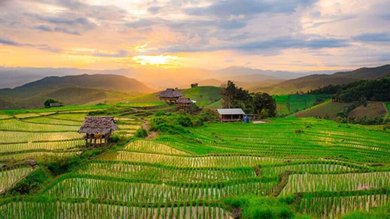 Chiang Mai: Doi Inthanon Trip with Pha Dok Siew Guided Trek - Pricing and Value