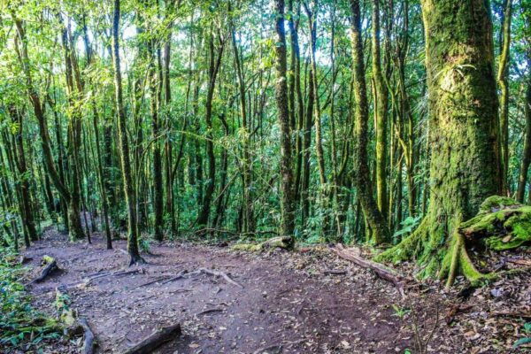 Chiang Mai: Doi Inthanon, Waterfalls, & Tribal Villages Tour - Directions