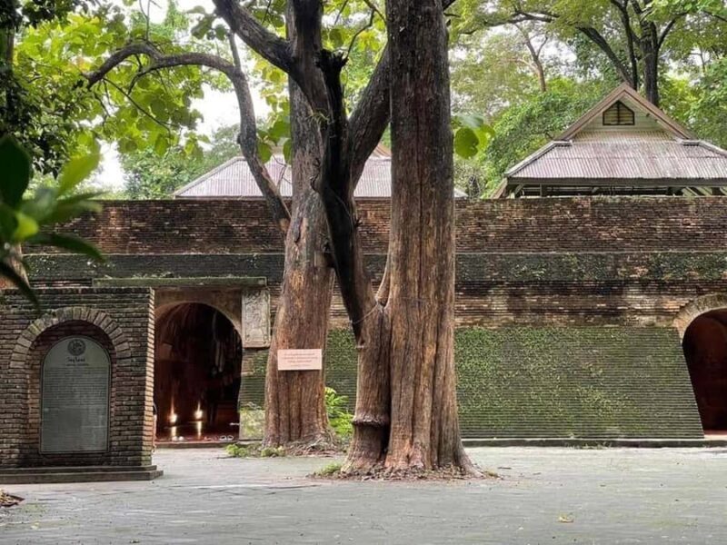 Chiang Mai: Doi Suthep 3 temples & Nature Café Guided Tour - Exploring Chiang Mai’s Spiritual and Natural Treasures