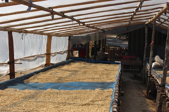 Chiang Mai Doi Suthep and Hmong Hill Village Small-Group Tour - Transportation and Pickup Details