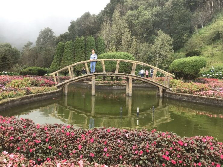 Chiang Mai: Doi Suthep & Inthanon National Park Day Tour - Overview of Doi Suthep & Inthanon National Park Day Tour