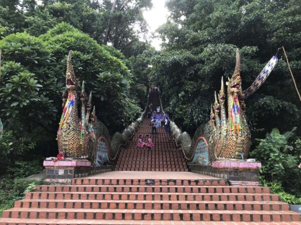 Chiang Mai: Doi Suthep & Inthanon National Park Day Tour - The Sum Up