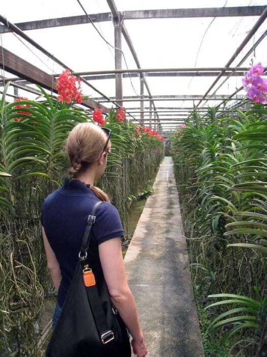 Chiang Mai: Doi Suthep, Orchid Farm and Waterfall With Lunch - Enjoying Sticky Waterfall