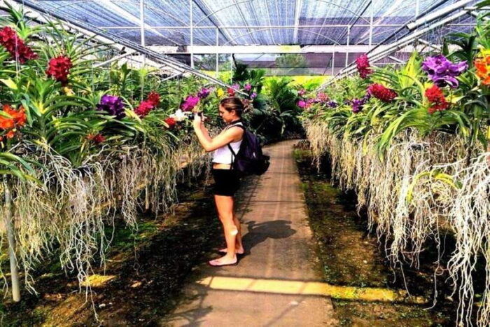 Chiang Mai: Doi Suthep, Orchid Farm and Waterfall With Lunch - Frequently Asked Questions
