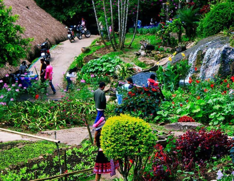 Chiang Mai: Doi Suthep Private Highlights (No Hiking) - The Sum Up