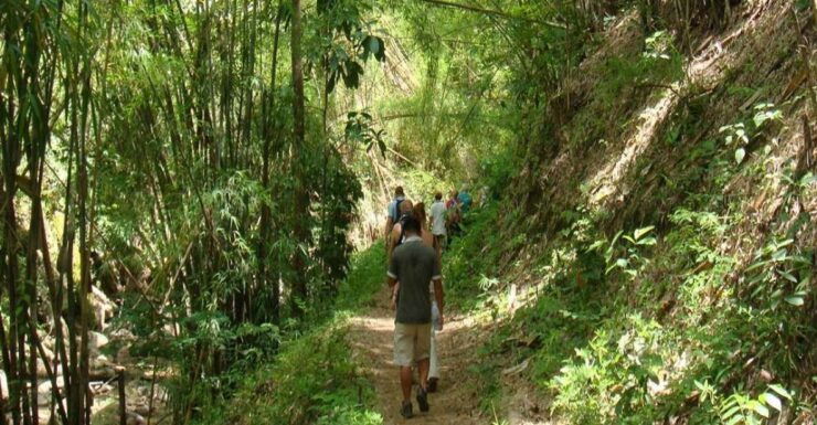 Chiang Mai: Doi Suthep-Pui National Park Day Tour & Rafting - Experience Highlights