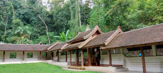 Chiang Mai: Doi Suthep, Secret Temple, & Sticky Waterfall - Orchid and Butterfly Farm: A Colorful Spectacle