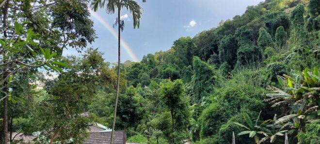 Chiang Mai: Doi Suthep, Secret Temple, & Sticky Waterfall - Local Thai Lunch in an Idyllic Setting