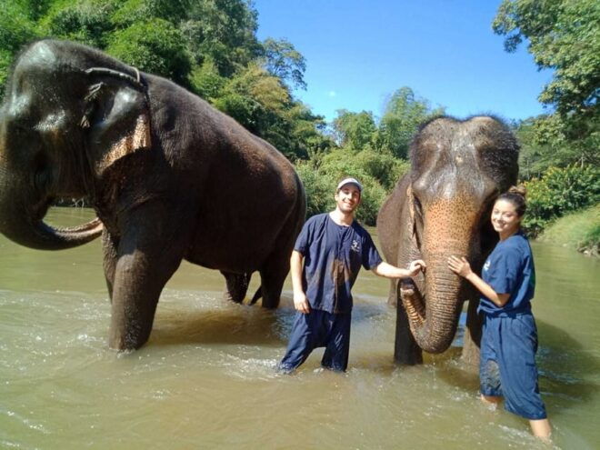 Chiang Mai: Doi Suthep Temple & Elephant Sanctuary Day Trip - Important Information