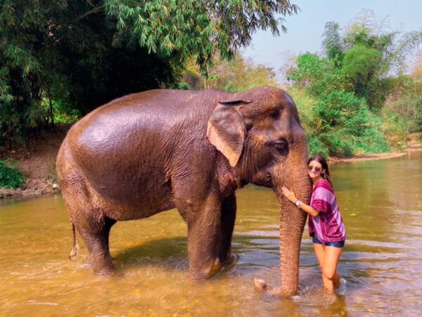 Chiang Mai: Doi Suthep Temple & Elephant Sanctuary Day Trip - Visiting Doi Suthep Temple