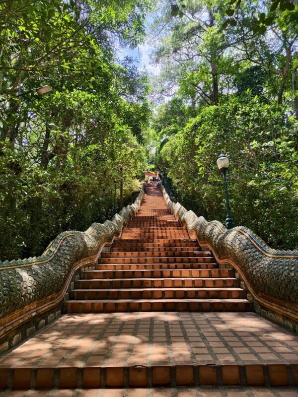 Chiang Mai Doi Suthep & Wat Pha Lat Half-Day Temple & Hiking Tour - Sunrise, evening light, and the timing trade-off