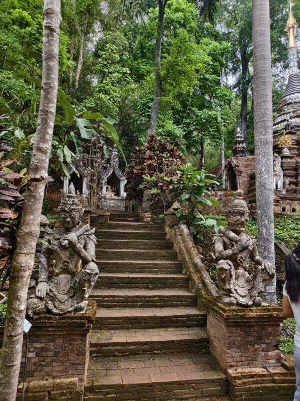 Chiang Mai Doi Suthep & Wat Pha Lat Half-Day Temple & Hiking Tour - Who should book this half-day outing?