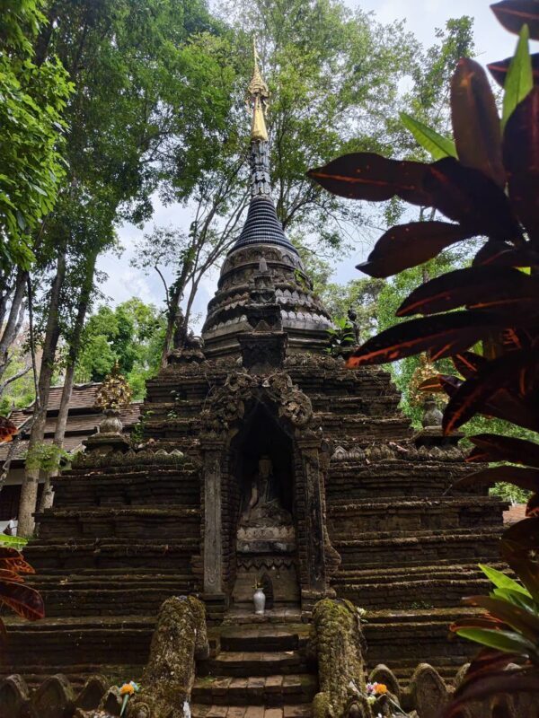 Chiang Mai Doi Suthep & Wat Pha Lat Half-Day Temple & Hiking Tour - Should you book it?