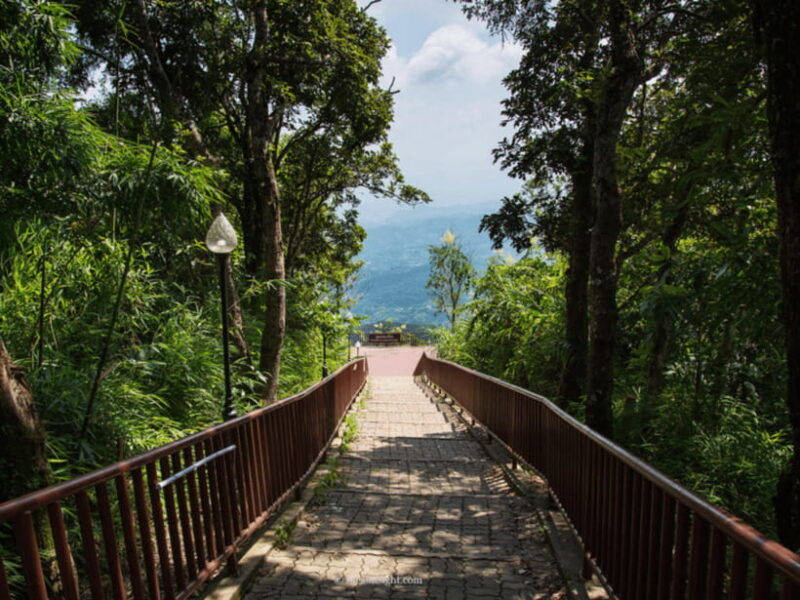 Chiang Mai: Doi Tung, Doi Mae, Salong Day Trip With Driver - Itinerary and Schedule