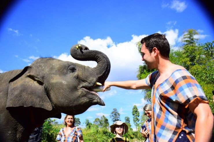Chiang Mai: Elephant Care at Elephant Retirement Park - Activity Details