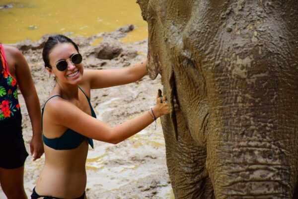 Chiang Mai: Elephant Care at Elephant Retirement Park - Reviews and Feedback