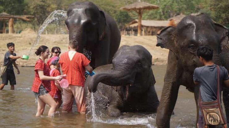Chiang Mai: Elephant Care & Long Neck &Sticky Waterfall Tour - Tour Overview and Pricing